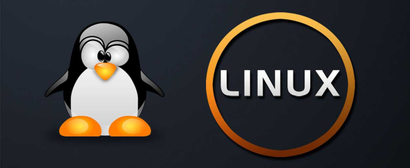 Comandos básicos para principiantes en Linux - Apagar el sistema: halt
