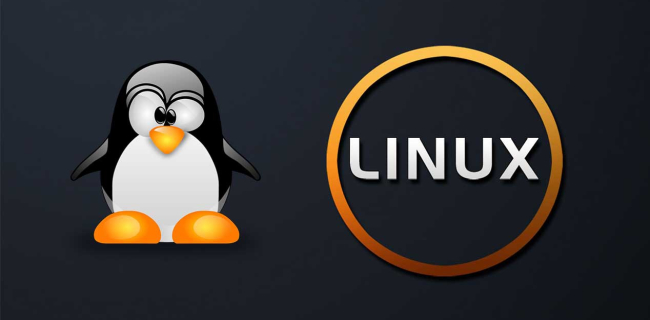 Comandos básicos para principiantes en Linux - Apagar el sistema: halt