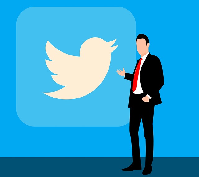 Características de las redes sociales - Logo de Twitter