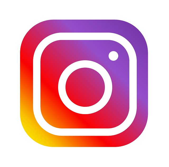 Características de las redes sociales - Logo de Instagram