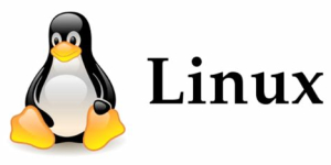 Cómo crear un directorio en Linux