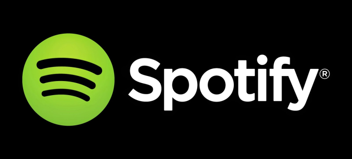 ¿Cómo descargar música de Spotify? - ¿Cómo Funciona Spotify Premium?