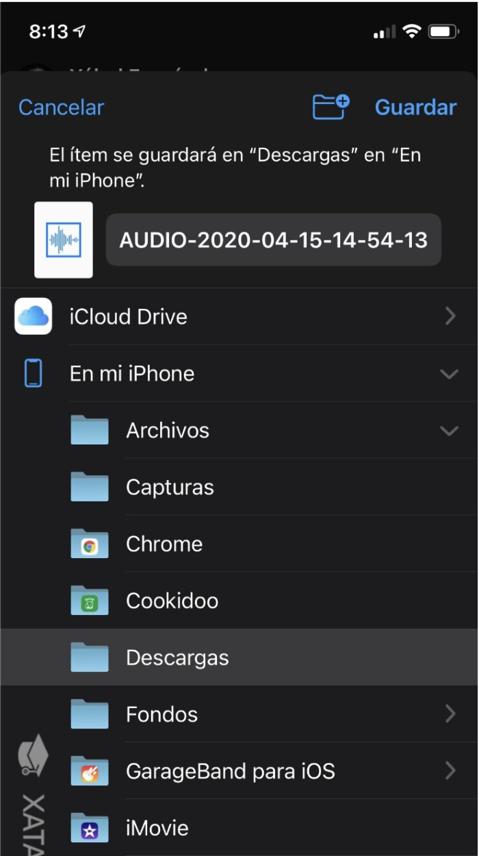 Cómo descargar o guardar audios de WhatsApp - Descargar y guardar audios de WhatsApp en iOS 