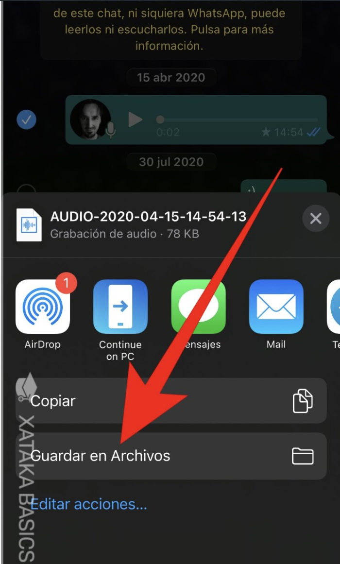 Cómo descargar o guardar audios de WhatsApp - Descargar y guardar audios de WhatsApp en iOS 