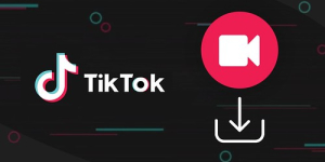 Cómo descargar videos de TikTok sin marca de agua