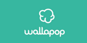 Cómo enviar por Wallapop - Todas las opciones