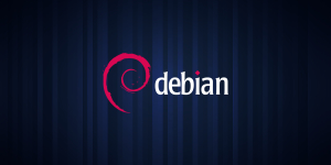 Cómo instalar y usar Docker en Debian