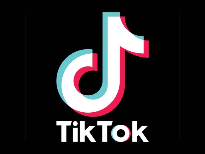 Cómo recuperar una cuenta de TikTok bloqueada temporalmente - Realiza una “Solicitud de revisión”