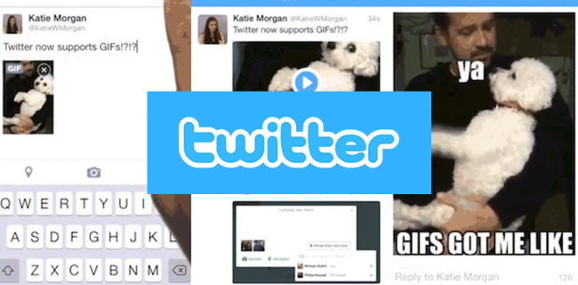 Cómo descargar archivos GIF animados de Google, Twitter, Facebook y otros - Descargar un GIF desde Twitter