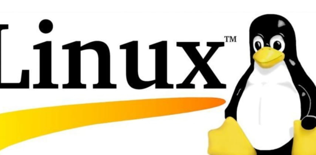 Ventajas y desventajas del sistema operativo Linux - Desventajas de Linux