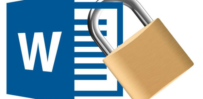 ¿Por qué no puedo escribir en Word? - Documento protegido