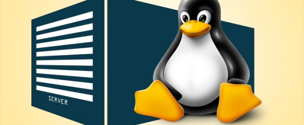 Sistemas operativos de red: ¿qué son y cuáles son los más conocidos? - Linux para servidores