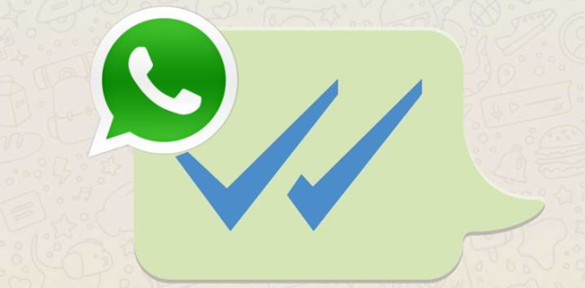 Cómo saber si te han bloqueado en WhatsApp - Los mensajes que envías al contacto solo tienen un tic