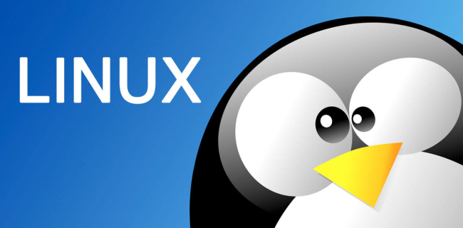 Comandos básicos para principiantes en Linux - Modo superusuario: su