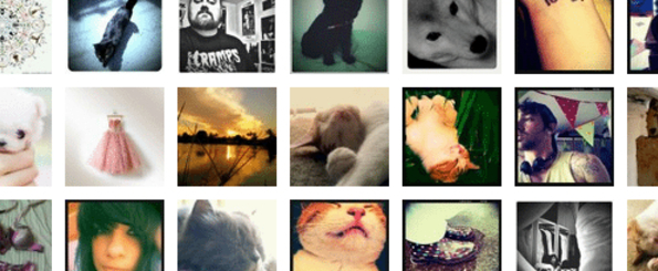 6 alternativas a Instagram - myTubo: sencilla y muy fácil de usar